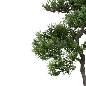 Tree green with pine tree, in black pot and made of plastic, M | PTMD