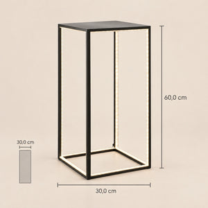 Floor lamp with high-quality metal body, slender design, integrated LED technology – DELUX | Sompex