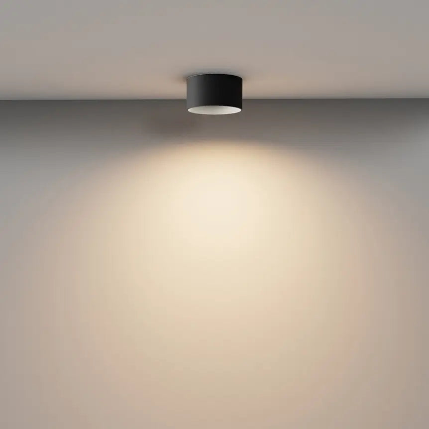 Ceiling Lamp Black Aluminum Finish Warm White – Vega | Maytoni