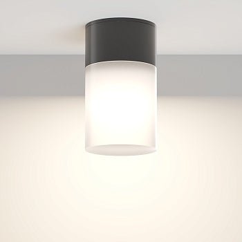 Deckenleuchte Schwarz Aluminium Weißer Diffusor 1× E27 - Fassung – Willis | Maytoni - Esszett Luxury | Stilvolles Wohnen mit Charakter