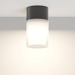 Deckenleuchte Schwarz Aluminium Weißer Diffusor 1× E27 - Fassung – Willis | Maytoni - Esszett Luxury | Stilvolles Wohnen mit Charakter