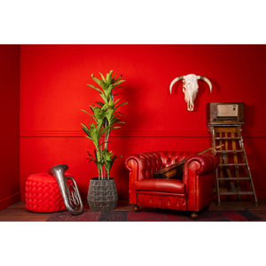 Kunstpflanze – Kunststoffmaterial, Botanisches Design, Agavenblätter - Agave | NeverLeafs