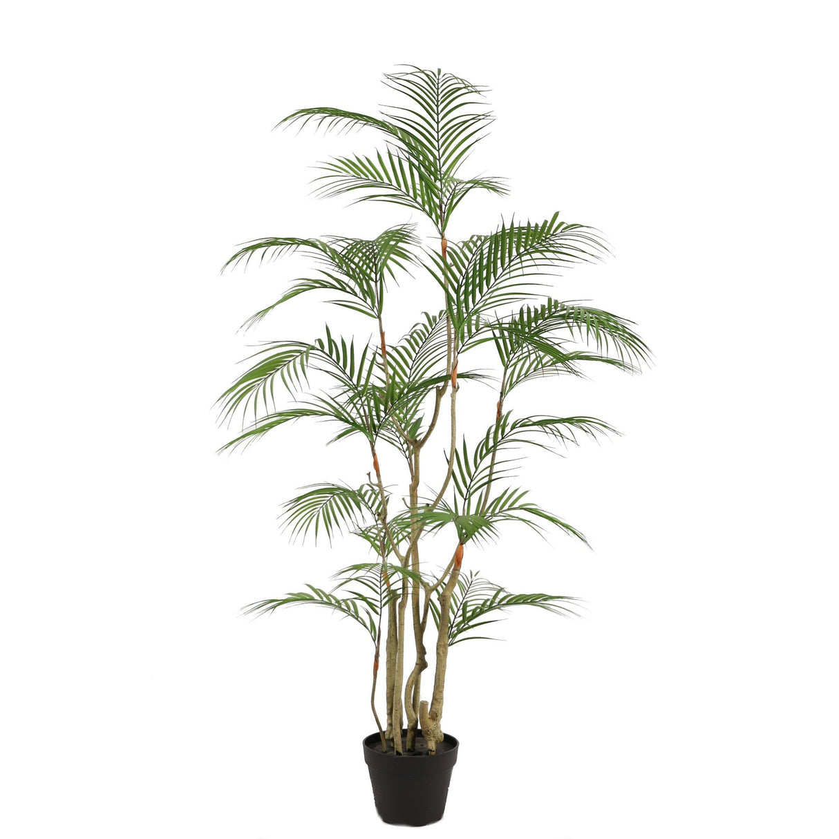Kunstpflanze – Kunststoffmaterial, Tropisches Design, Palmenwedel - Areca Palm | NeverLeafs