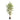 Kunstpflanze - Realistische Blattstruktur, Pflegefrei, Orientalischer Look (180 cm) – Bamboe Japanese | Neverleafs