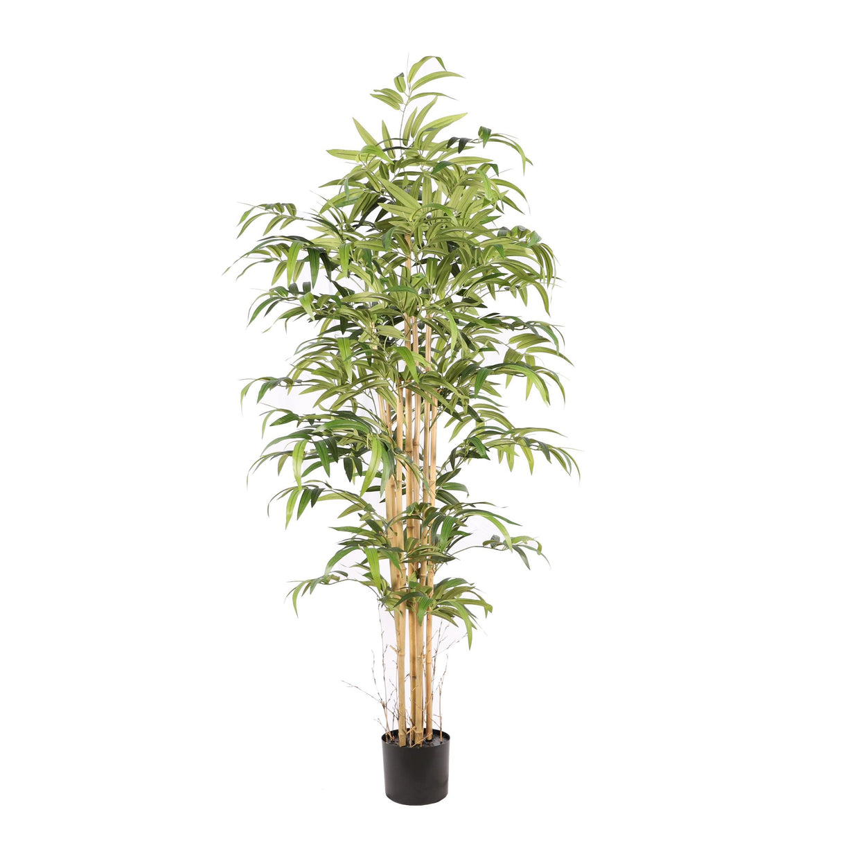 Kunstpflanze – Kunststoffmaterial, Japanisches Design, Bambusstängel, 180 cm - Bamboe Japanese | NeverLeafs
