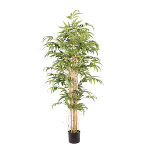 Kunstpflanze – Kunststoffmaterial, Japanisches Design, Bambusstängel, 180 cm - Bamboe Japanese | NeverLeafs