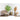 Kunstpflanze Tropisches Deluxe-Design Realistische Palmwedel Pflegefrei (160 cm) – Phoenixpalme | NeverLeafs