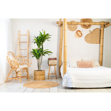 Artificial Plant - Tropical Design Realistic Leaf Structure Maintenance-Free (150 cm) – Dracaena | NeverLeafs