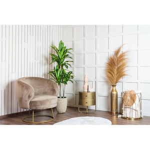 Kunstpflanze – Kunststoffmaterial, Tropisches Design, Mehrstämmige Form - Dracaena Fragrans | NeverLeafs
