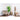 Kunstpflanze - Deluxe-Blätter Realistische Textur Pflegefrei (160 cm) – Eukalyptus | NeverLeafs