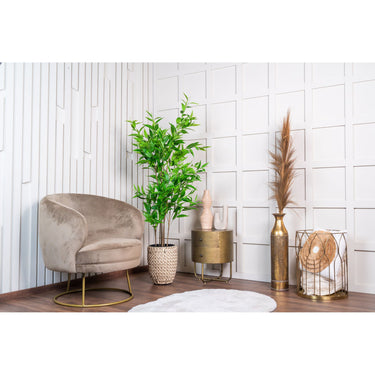 Kunstpflanze - Deluxe-Blätter Realistische Textur Pflegefrei (160 cm) – Eukalyptus | NeverLeafs