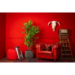 Kunstpflanze – Kunststoffmaterial, Modernes Design, Realistisches Blattdesign, 180 cm - Eucalyptus | NeverLeafs