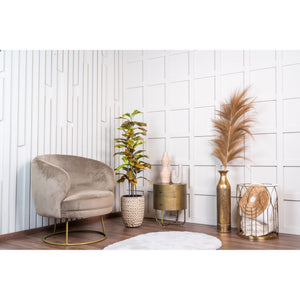 Kunstpflanze – Kunststoffmaterial, Natürliches Design, Volles Blattdesign, 120 cm - Ficus | NeverLeafs