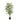 Kunstpflanze - Realistische Ficus-Blätter Natürlicher Grünton Pflegefrei (140 cm) – Ficus | NeverLeafs