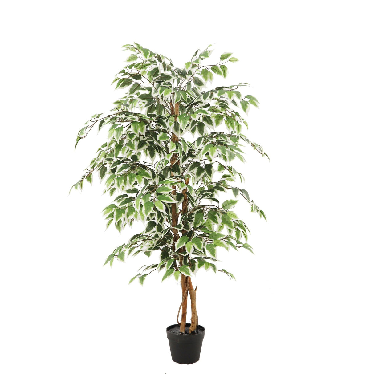 Kunstpflanze – Kunststoffmaterial, Natürliches Design, Realistische Blätter, 140 cm - Ficus | NeverLeafs