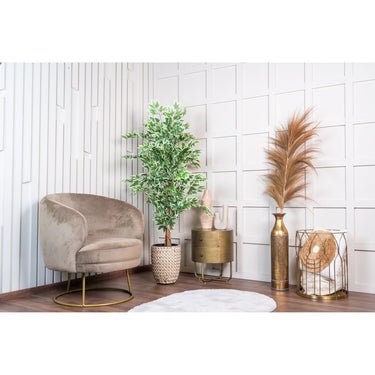 Kunstpflanze - Realistische Ficus-Blätter Natürlicher Grünton Pflegefrei (140 cm) – Ficus | NeverLeafs