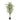 Kunstpflanze Realistische Ficus-Blätter Natürlicher Look Pflegefrei (160 cm) – Ficus | NeverLeafs