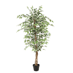 Kunstpflanze – Kunststoffmaterial, Natürliches Design, Realistische Blätter, 160 cm - Ficus | NeverLeafs
