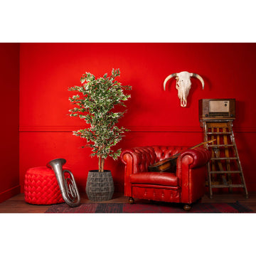 Artificial Plant Realistic Ficus Leaves Natural Look Maintenance-Free (160 cm) – Ficus | NeverLeafs