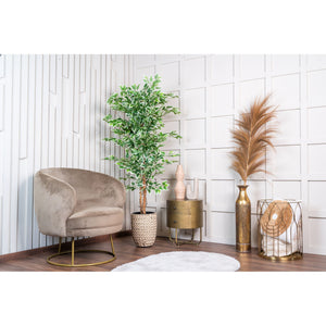 Kunstpflanze – Kunststoffmaterial, Natürliches Design, Realistische Blätter, 160 cm - Ficus | NeverLeafs