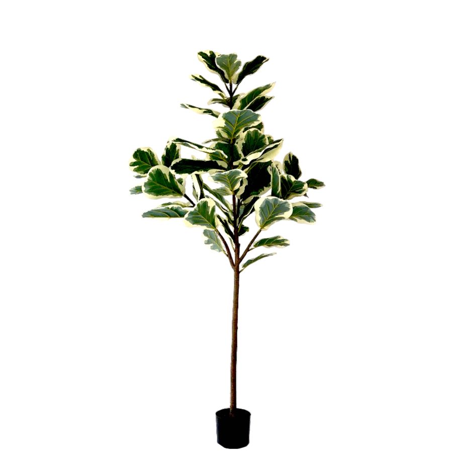Kunstpflanze – Kunststoffmaterial, Botanisches Design, Geigenblätter, 160 cm - Ficus | NeverLeafs