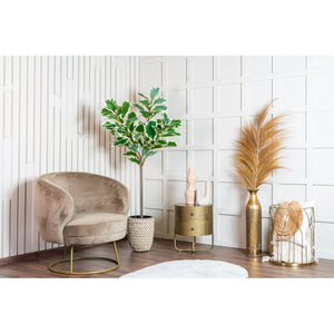 Kunstpflanze – Kunststoffmaterial, Botanisches Design, Geigenblätter, 160 cm - Ficus | NeverLeafs