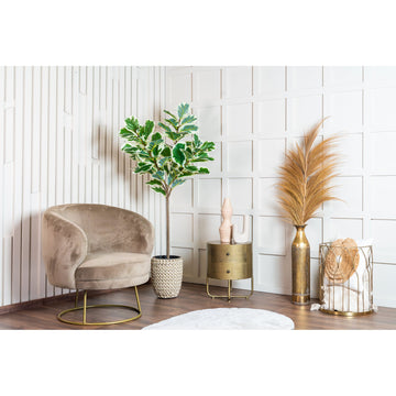 Artificial Plant - Realistic Leaves High-Quality Plastic Easy-Care (160 cm) - Ficus | NeverLeafs