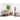 Kunstpflanze - Tropisches Innenraum-Design Realistische Palmwedel Pflegefrei (170 cm) – Kentia Palm | NeverLeafs