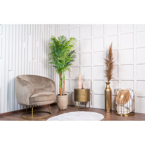 Kunstpalme – Kunststoffmaterial, Tropisches Design, Palmblätter, 170 cm - Kentia Palm | NeverLeafs