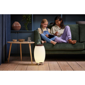 LED-Leuchte mit 3-in-1-Funktion, Bluetooth-Lautsprecher und Weinkühler – Synergy 35 | Kooduu