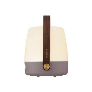 Earth LED Lamp with Dimmable Warm White Lighting, Portable Design, and Wooden Handle – Lite-Up | Kooduu
