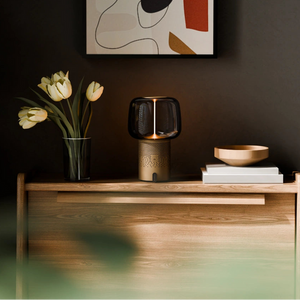 Powder-coated steel speaker light with hand-blown glass shade and filament LED – Serena PLAY | Kooduu