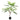Kunstpflanze - Realistische Palmenblätter, Pflegefrei, Tropischer Look (120 cm) – Mini Palme | Neverleafs