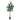 Kunstpflanze - Realistische Blätter, Pflegefrei, Eleganter Grünlook (160 cm) – Geldbaum | Neverleafs
