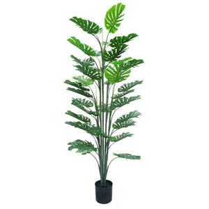 Kunstpflanze – Kunststoffmaterial, Tropisches Design, Geteilte Blätter - Monstera | NeverLeafs