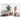 Kunstpflanze – realistisch tropisch pflegefrei langlebig (160 cm) – Monstera | NeverLeafs