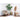 Kunstpflanze - Tropisches Südamerika-Design Realistische Gespaltene Blätter Pflegefrei (180 cm) – Fensterblatt | NeverLeafs