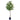Kunstpflanze - Mediterranes Design Realistische Blattstruktur Pflegefrei (160 cm) – Olivenbaum | NeverLeafs