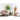 Kunstpflanze - Mediterranes Design Realistische Blattstruktur Pflegefrei (160 cm) – Olivenbaum | NeverLeafs