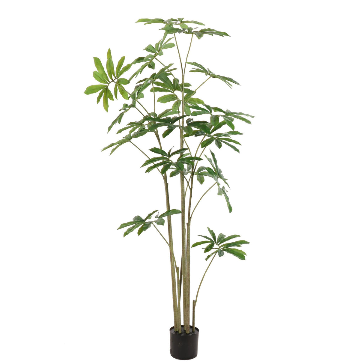Kunstpflanze – Kunststoffmaterial, Tropisches Design, Große Blätter, 180 cm - Philodendron | NeverLeafs