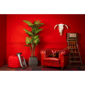 Kunstpflanze – Kunststoffmaterial, Tropisches Design, Großes Blattdesign, 180 cm - Philodendron | NeverLeafs