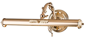 Picture Lights Adjustable Arm, Gold Finish, Acrylic Diffuser – Picasso PIC114-02-G | Maytoni