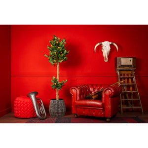 Kunstpflanze – Kunststoffmaterial, Mediterranes Design, Dekorative Früchte - Orangenbaum | NeverLeafs