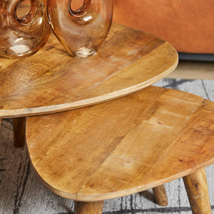 Mango Wood Coffee Table Set with Triangular Tabletop and Three Wooden Legs – Omaha | Starfurn