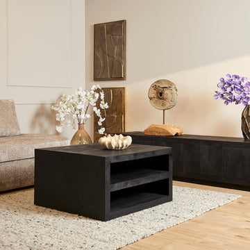 Couchtisch – Mangoholz, Schwarzoptik, Stauraumfächer – Brussel | Starfurn