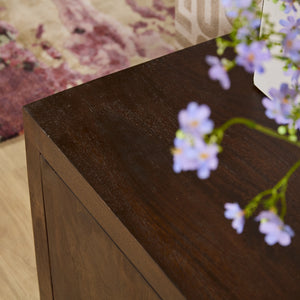 TV Units – Mango Wood Material, Brown Finish, Handleless Design – Brussel | Starfurn