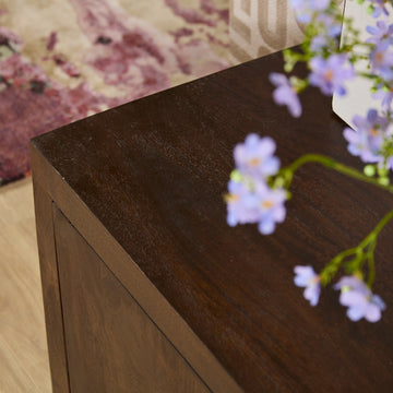 TV Units – Mango Wood Material, Brown Finish, Handleless Design – Brussel | Starfurn