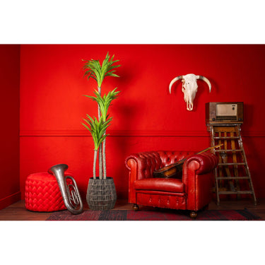 Kunstpflanze - Realistische Blätter, Pflegefrei, Robuste Ausstrahlung (170 cm) – Yucca | Neverleafs
