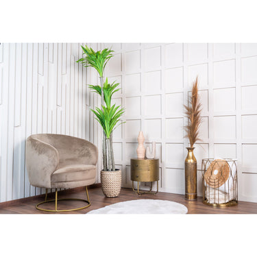 Kunstpflanze - Realistische Blätter, Pflegefrei, Robuste Ausstrahlung (170 cm) – Yucca | Neverleafs