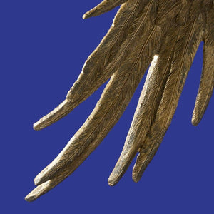 Ceiling Light – Sculptural Design, Exotic Animal Motif, Polyresin Construction, Golden Finish – Parrot Percy | WERNS